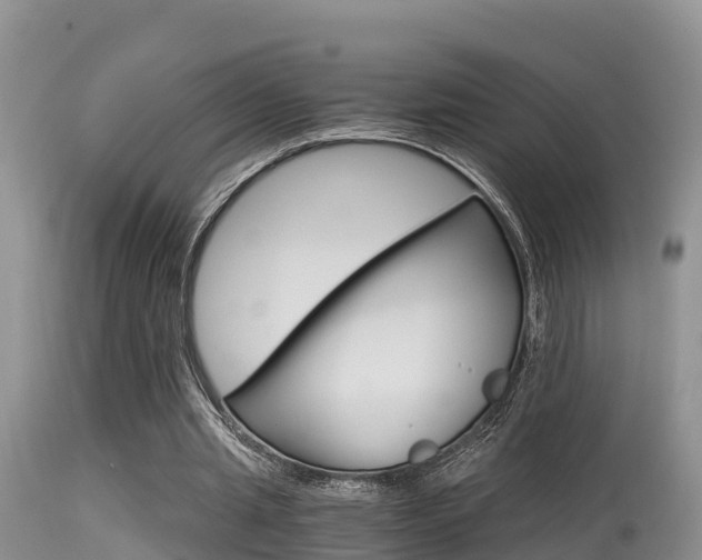 X0000115480437200911061028