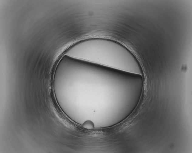 X0000115480438200911061028