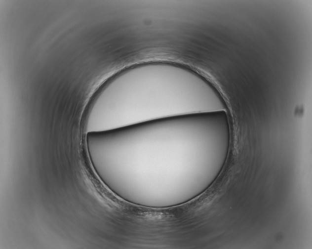 X0000115480439200911061028
