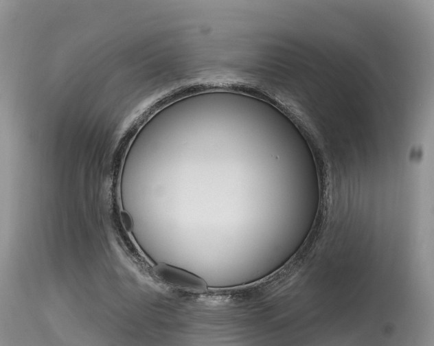 X0000115480440200911061028