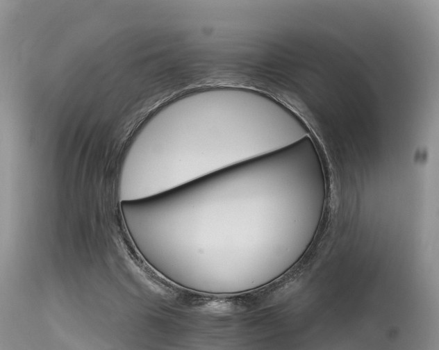X0000115480441200911061028