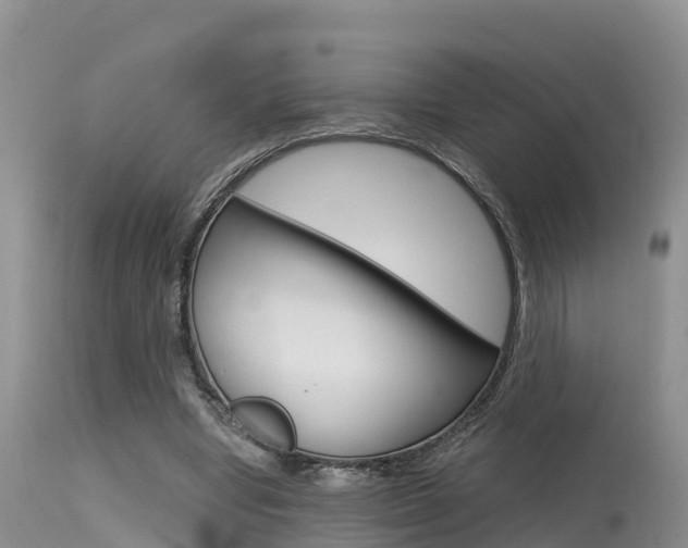 X0000115480442200911061028