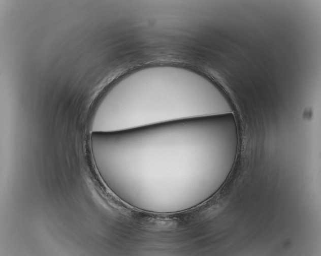 X0000115480443200911061028
