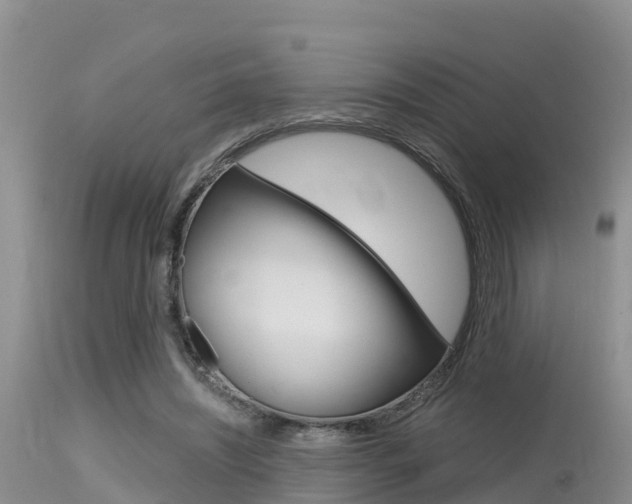 X0000115480444200911061028