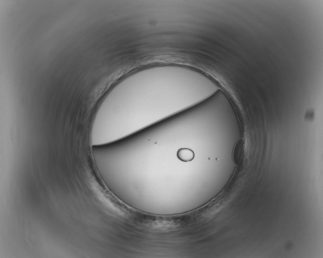 X0000115480445200911061028