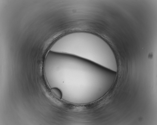 X0000115480446200911061028