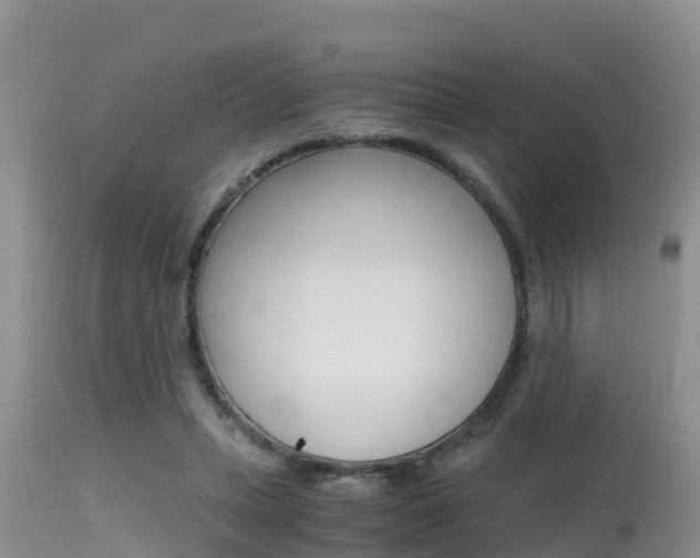 X0000115480447200911061028