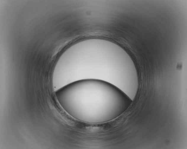 X0000115480448200911061028