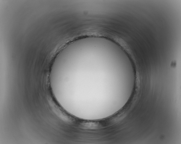 X0000115480449200911061028