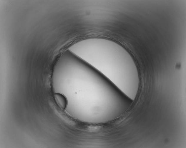 X0000115480450200911061028