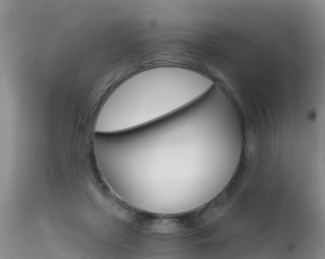 X0000115480451200911061028