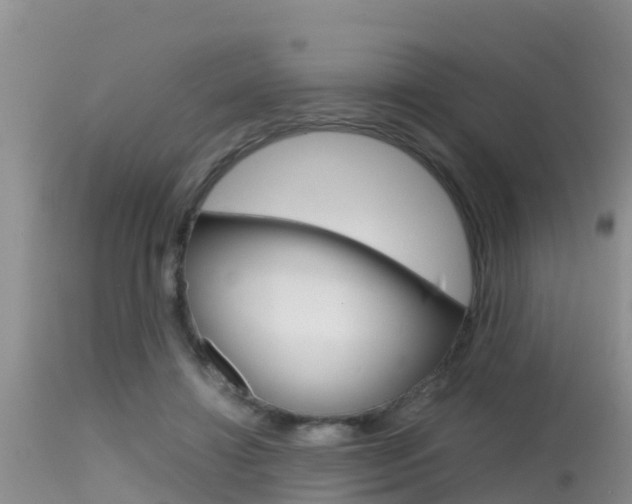 X0000115480452200911061028