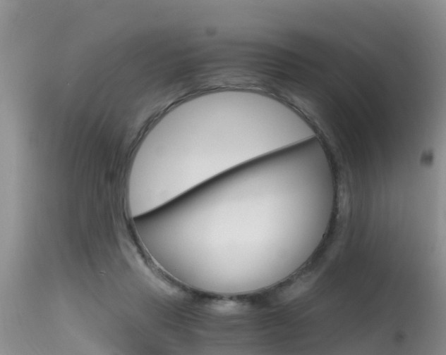X0000115480453200911061028