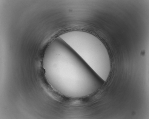 X0000115480456200911061028