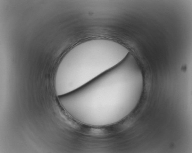 X0000115480457200911061028