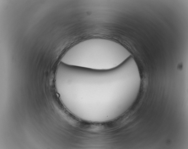 X0000115480458200911061028