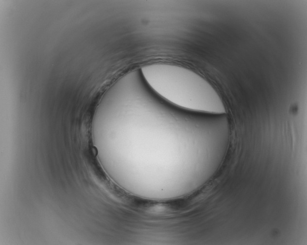 X0000115480460200911061028