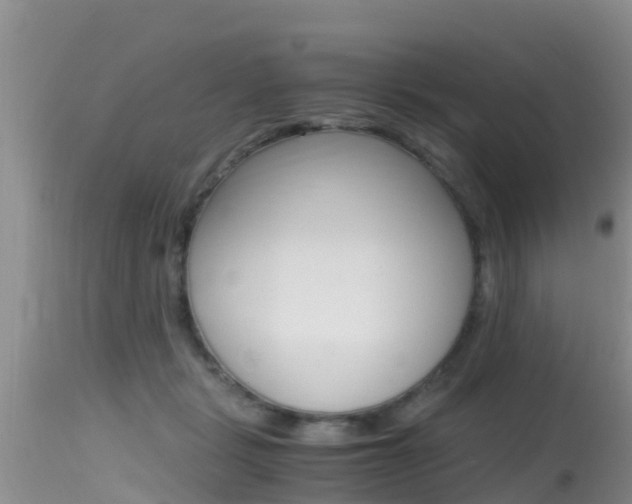 X0000115480461200911061028