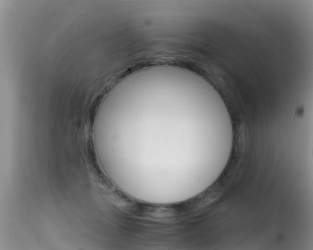 X0000115480463200911061028