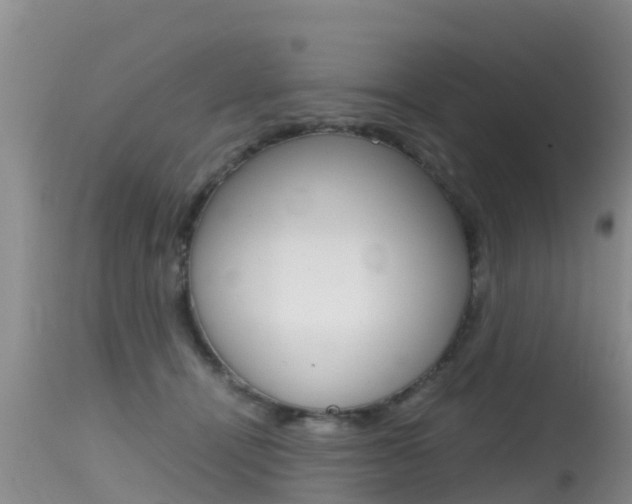 X0000115480464200911061028