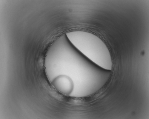 X0000115480466200911061029