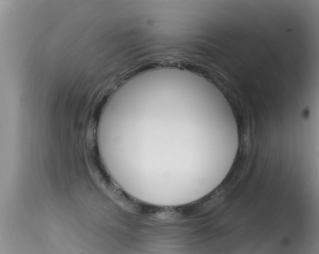 X0000115480468200911061029