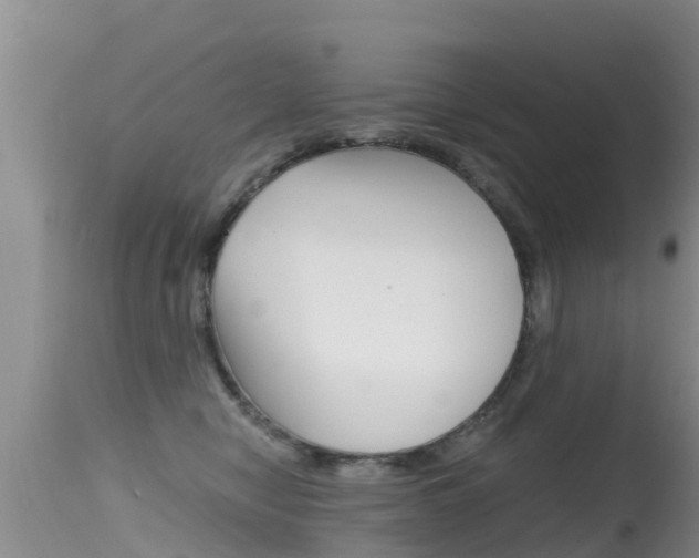 X0000115480470200911061029