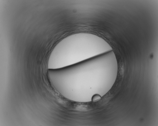 X0000115480471200911061029