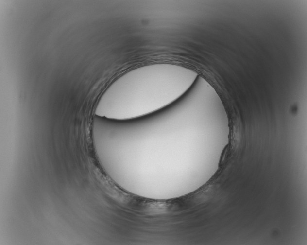 X0000115480473200911061029