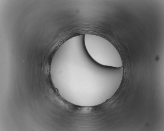 X0000115480474200911061029