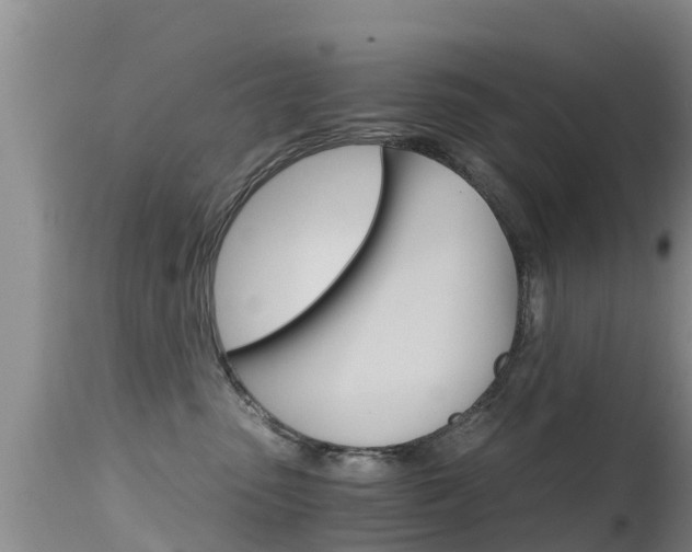 X0000115480475200911061029