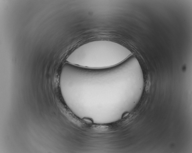 X0000115480476200911061029