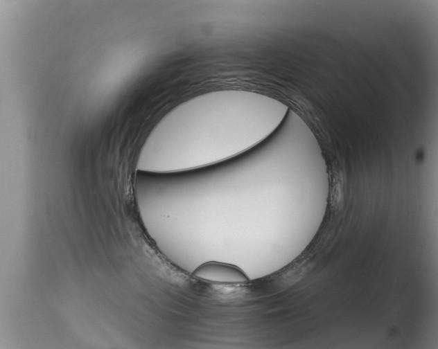 X0000115480477200911061029