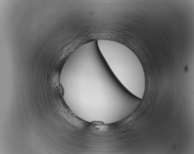 X0000115480478200911061029