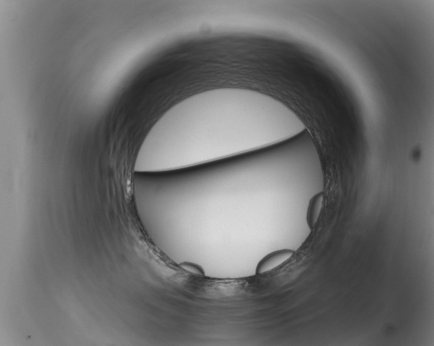 X0000115480479200911061029