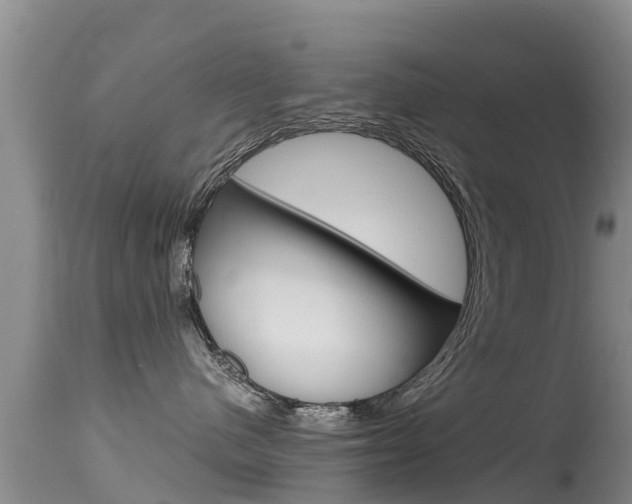 X0000115480480200911061029