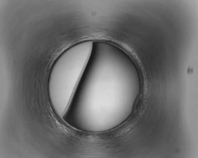 X0000115480481200911061028