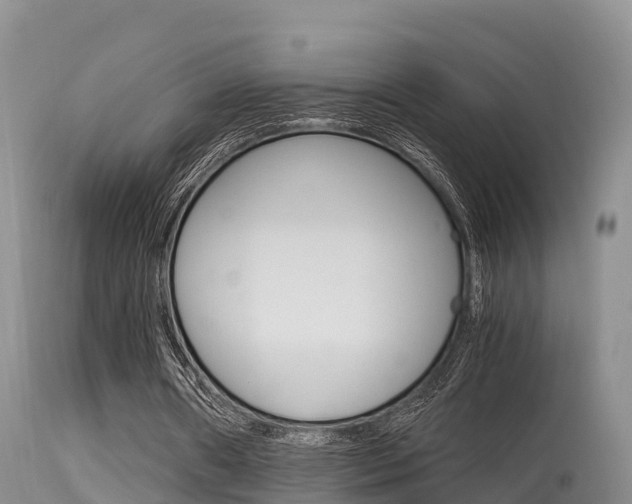 X0000115480482200911061028