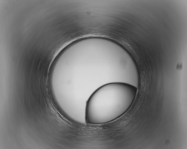X0000115480484200911061028