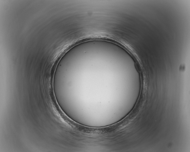 X0000115480485200911061028