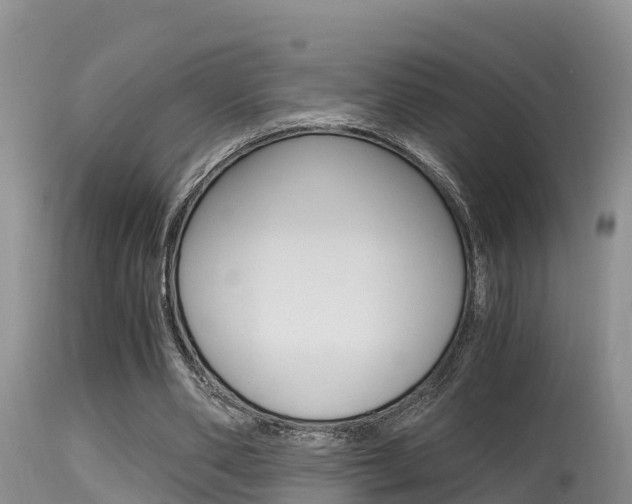 X0000115480486200911061028