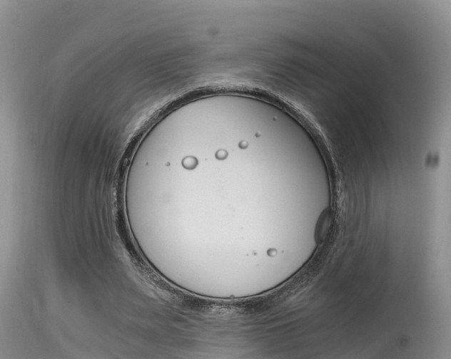 X0000115480487200911061028