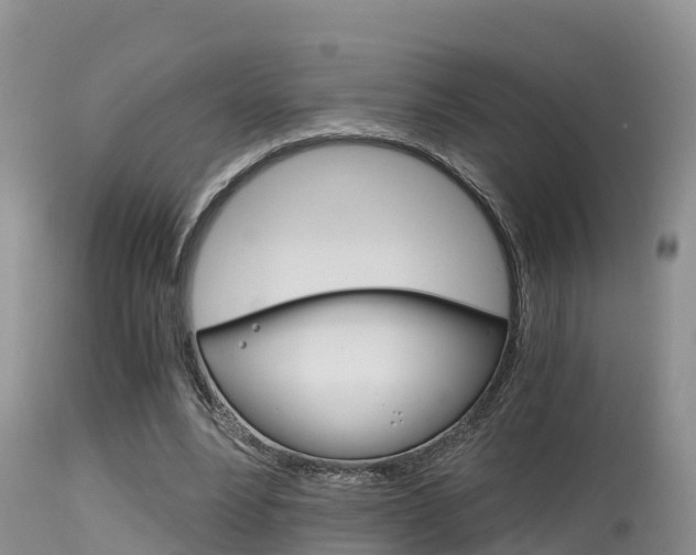 X0000115480488200911061028