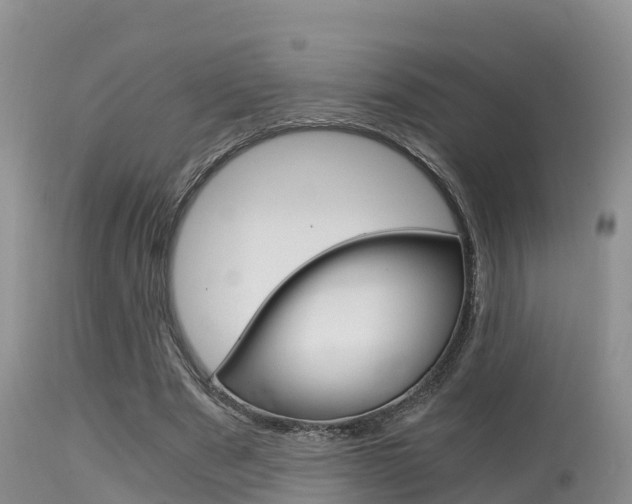 X0000115480489200911061028