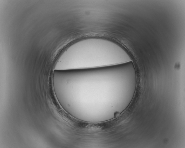 X0000115480491200911061028