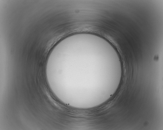 X0000115480493200911061028