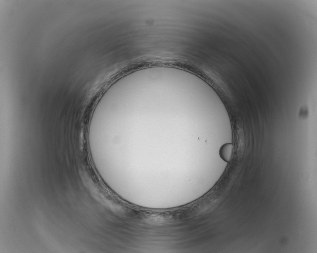X0000115480494200911061028