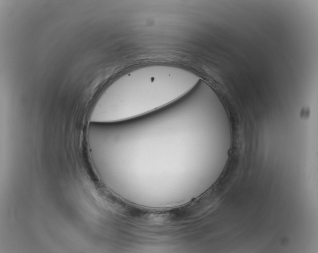 X0000115480495200911061028