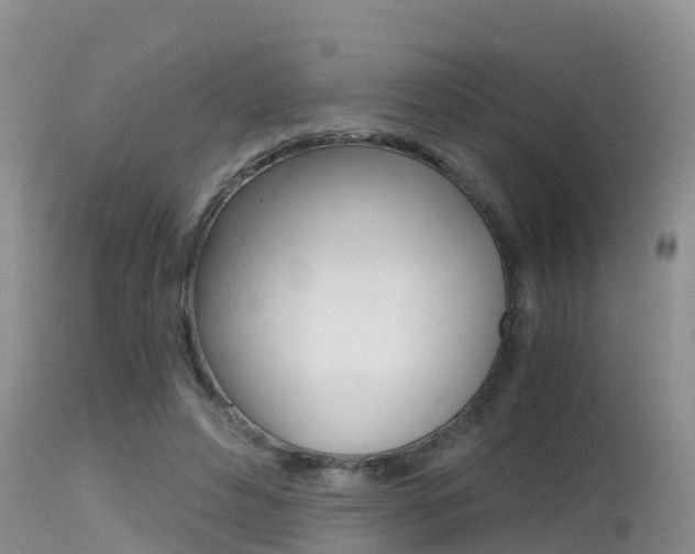 X0000115480496200911061028