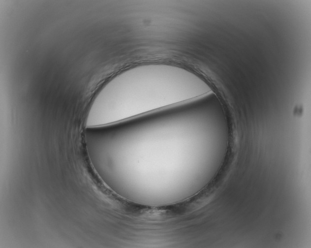 X0000115480497200911061028